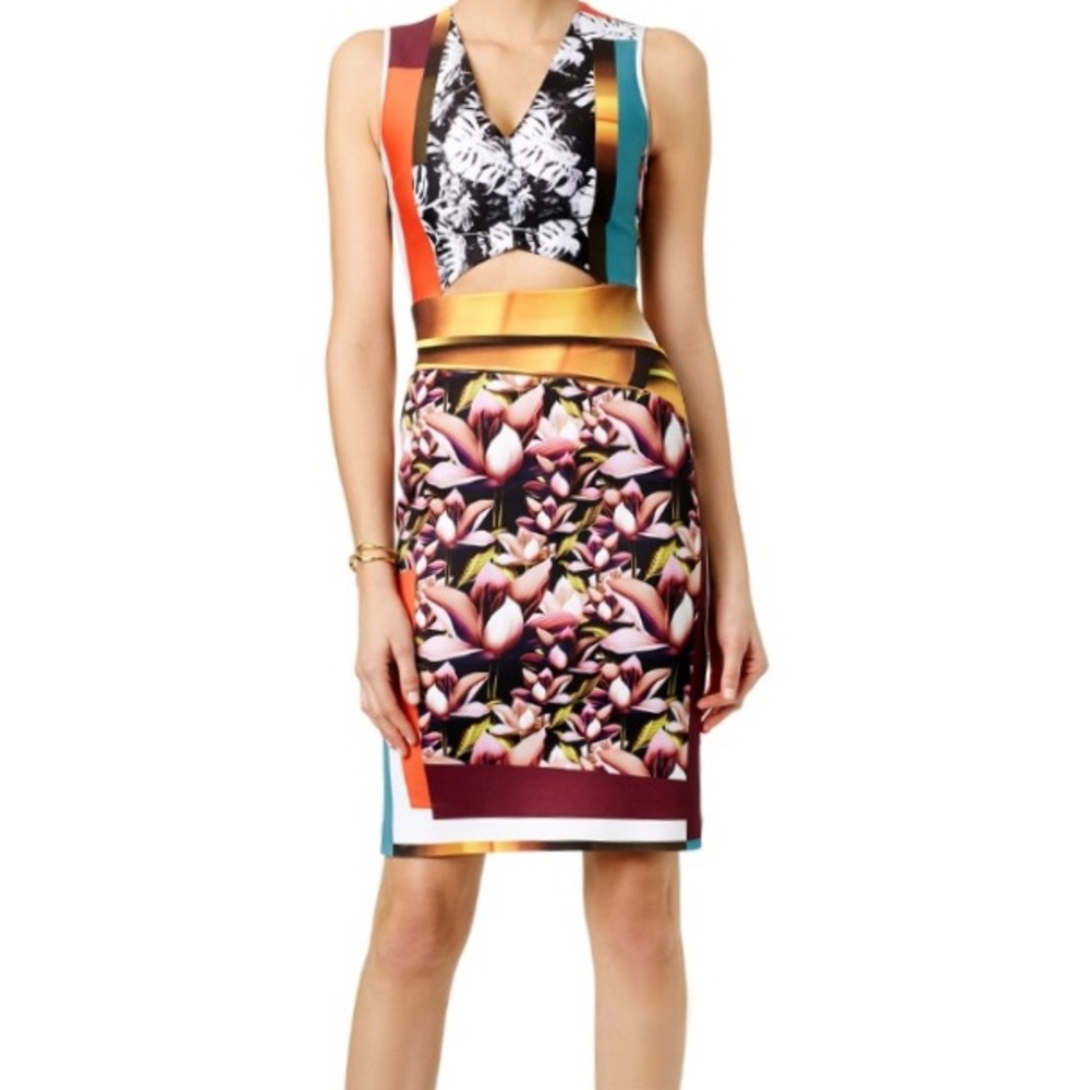 Clover Canyon sheath dress - worn once!